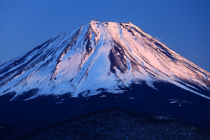 Tokyo to Mt Fuji, Oshino Hakkai: 1-Day Group Tour and Shopping - Booking and Availability
