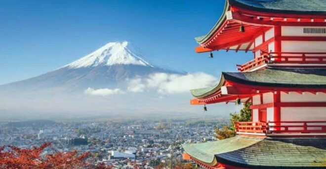 Tokyo to Mt Fuji Private Tour - Transportation Details