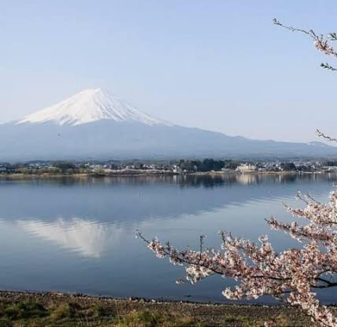 Tokyo to Mt Fuji Private Tour - Scenic Stops