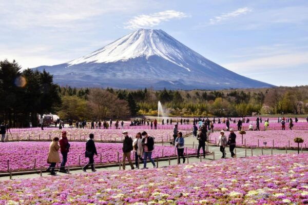 Tokyo to Mt Fuji Private Tour - Booking Information