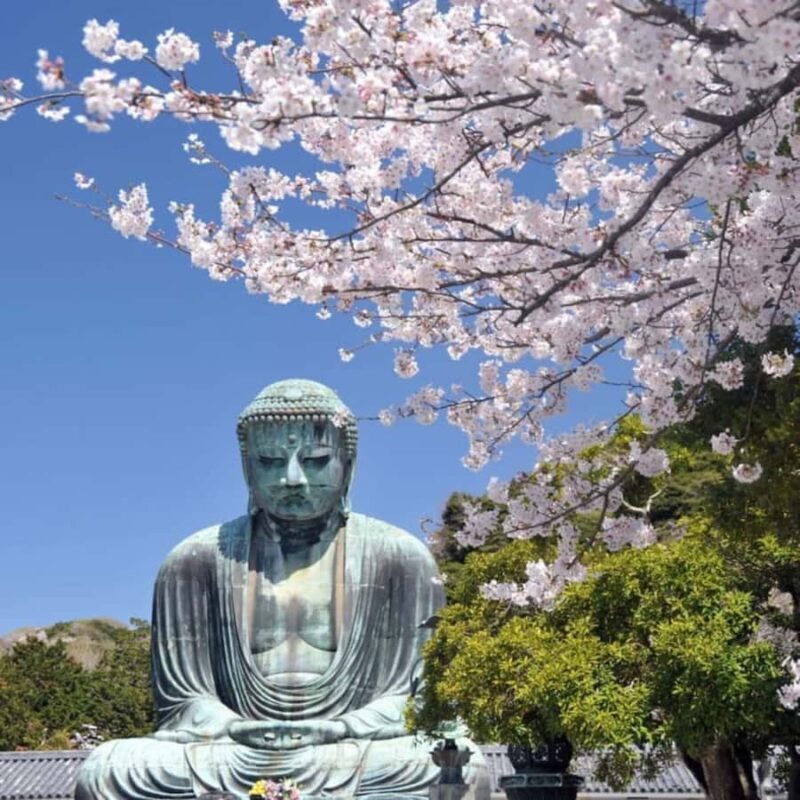 Tokyo To Nagano Day Tour: Snow Monkey Park & Zenko-ji Temple - What Sets This Tour Apart?