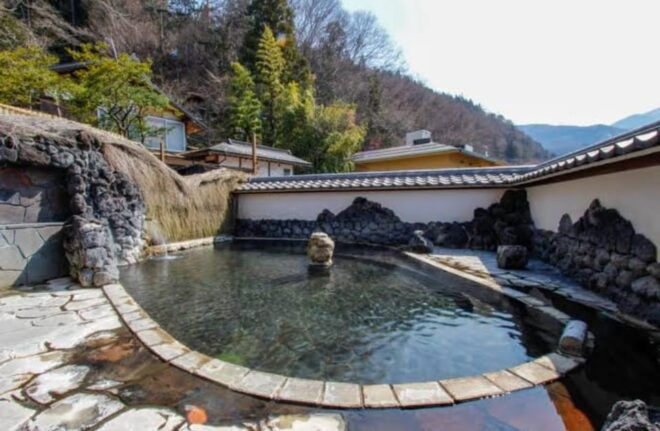 Tokyo to Nagano Snow Monkey Park & Shibu Onsen Private Tour - Preparation and Guidelines
