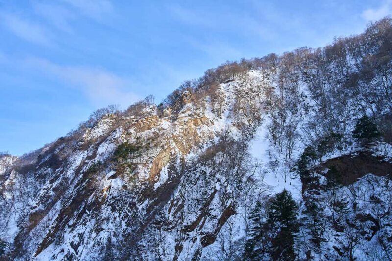 Tokyo to Nikko: Day Trip Custom Day Tour - FAQ