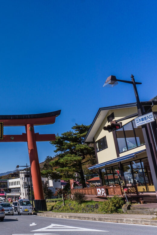 Tokyo to Nikko: Exclusive Private Day Trip - Final Thoughts