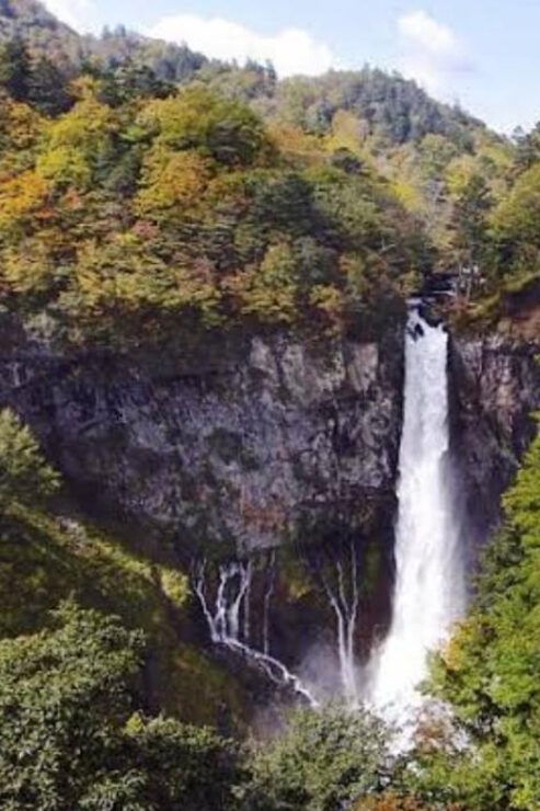 Tokyo to Nikko Private Tour - Pricing and Group Size
