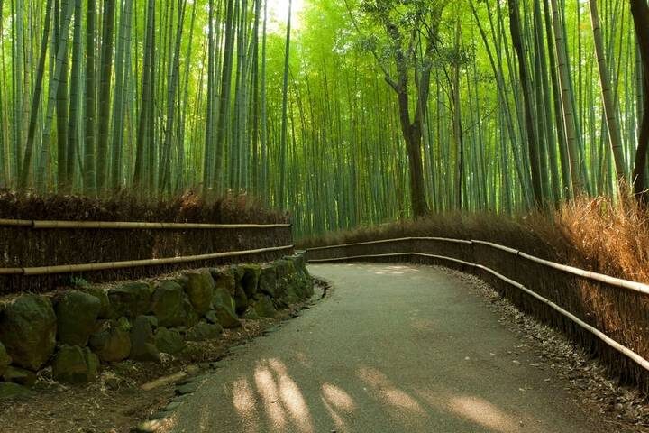 Tokyo to Osaka by Rail - Private Tour (14 Days) with Explore! - Kanazawa and Takayama: samurai streets, gardens and a ryokan night