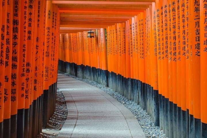 Tokyo to Osaka by Rail - Private Tour (14 Days) with Explore! - Kyoto: a guide helps you choose among thousands of sights