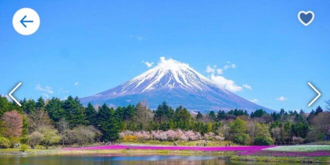 Tokyo to ;Private Trip to Mount Fuji and Lake Kawaguchi - Transportation Details