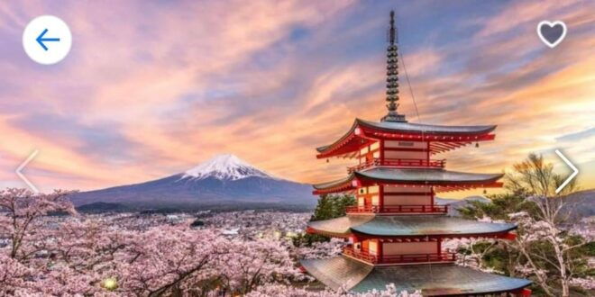 Tokyo to ;Private Trip to Mount Fuji and Lake Kawaguchi - Customer Reviews