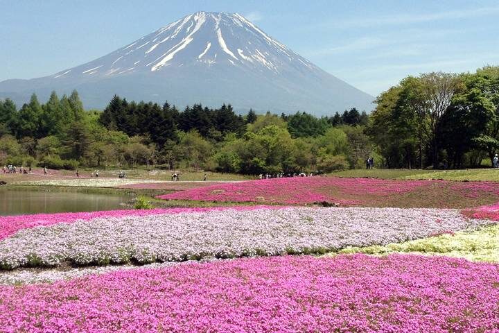 Tokyo to Takayama - 13 days by On The Go Tours - Tokyo: temples, museums and the scramble
