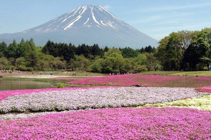 Tokyo to Takayama - 13 days by On The Go Tours - What the price includes, and what to budget for
