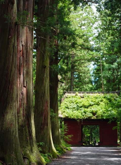 Tokyo: Togakushi Sacred Trail Day Tour with Shinkansen - A Spiritual Journey Through Ancient Shrines