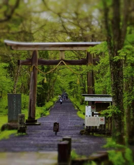 Tokyo: Togakushi Sacred Trail Day Tour with Shinkansen - Return to Tokyo