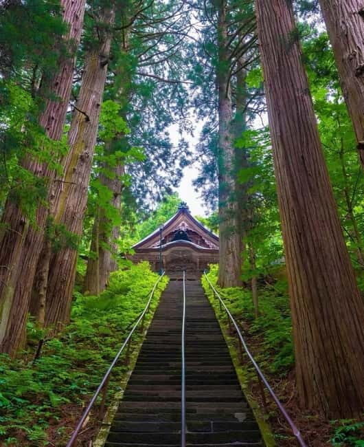 Tokyo: Togakushi Sacred Trail Day Tour with Shinkansen - Practical Tips