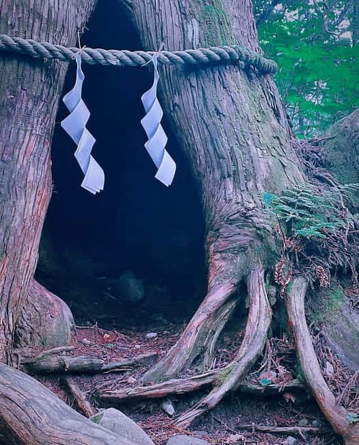 Tokyo: Togakushi Sacred Trail Day Tour with Shinkansen - Sacred Sites and Cultural Stops: Exploring the Shrines