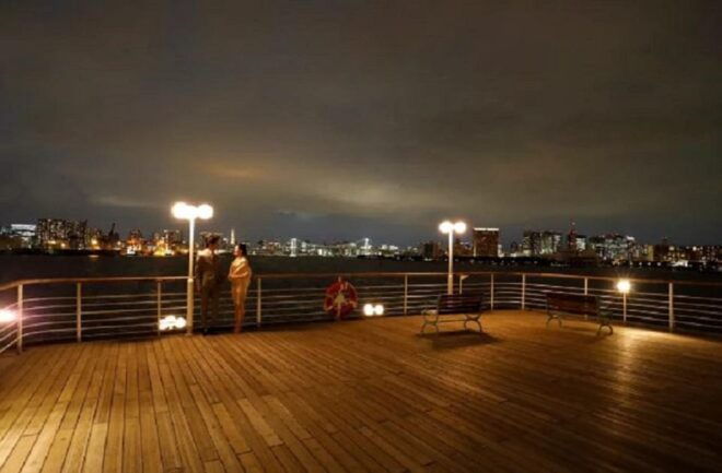 Tokyo: Tokyo Bay Dinner Cruise - Inclusions and Meeting Point