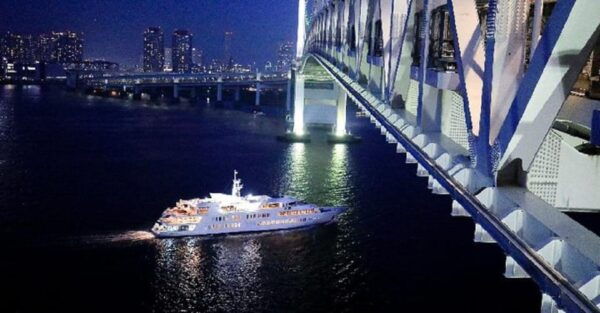 Tokyo: Tokyo Bay Dinner Cruise - Tips for a Memorable Cruise