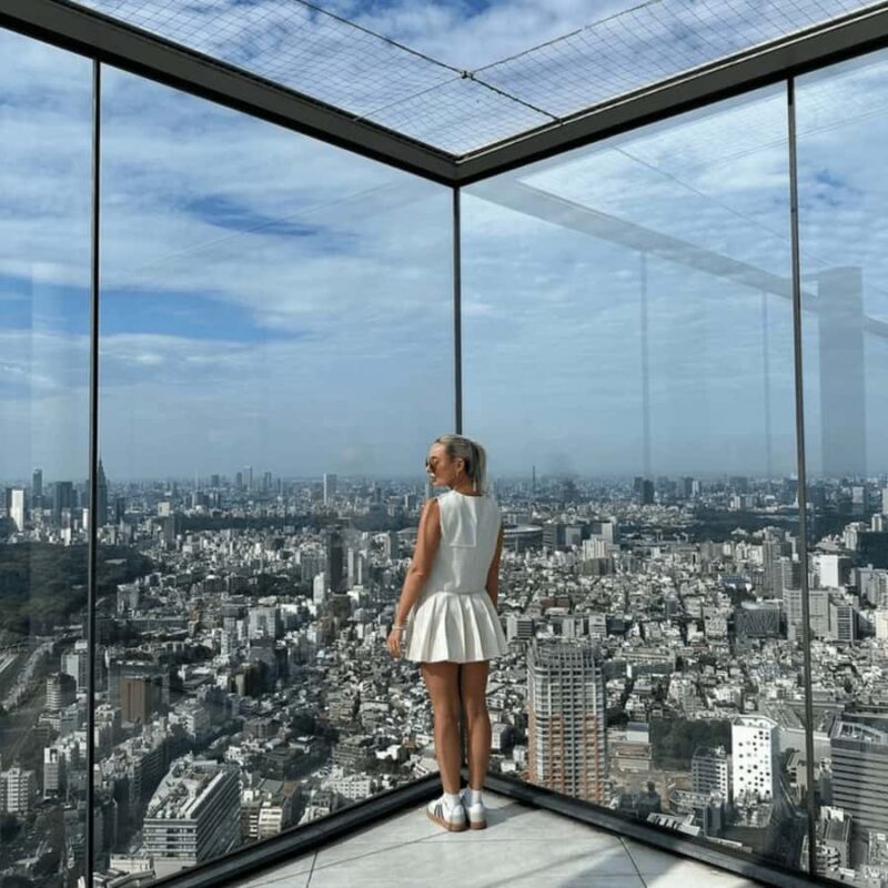 Tokyo: Tokyo City Private Tour with English Speaking Driver - Good To Know