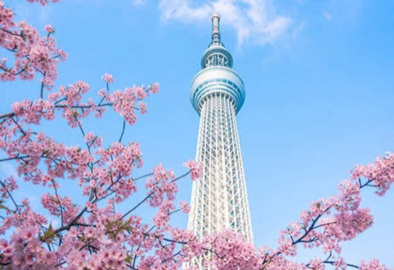 Tokyo: Tokyo Private Tour With hotel pick-up and Drop-off - Who Is This Tour Best For?