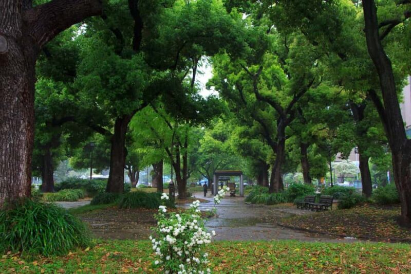 Tokyo: Tokyo Tower, Shiba Park, Zojoji Temple Walking Tour - Good To Know