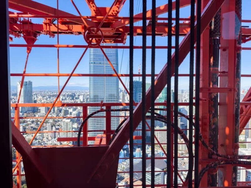 Tokyo: Tokyo Tower, Shiba Park, Zojoji Temple Walking Tour - Value and Who It’s For