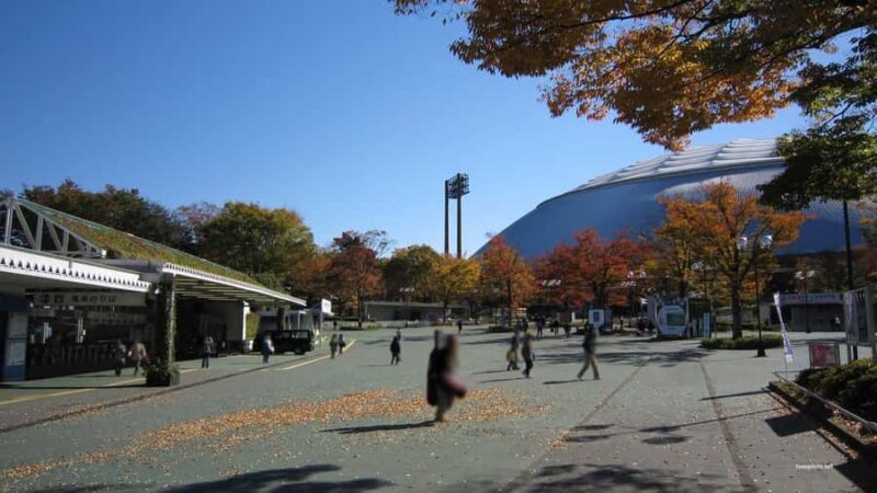 Tokyo: Totoro Forest Hiking Tour in Sayama Hills - Practical Details and What You’ll Experience