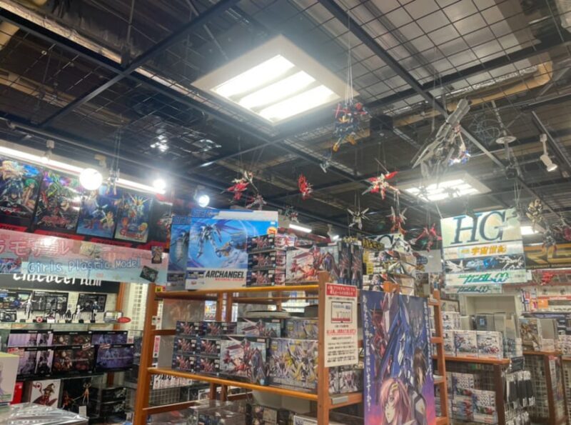 Tokyo: Tour around 10 charms to know Akihabara! - Why This Tour Offers Good Value