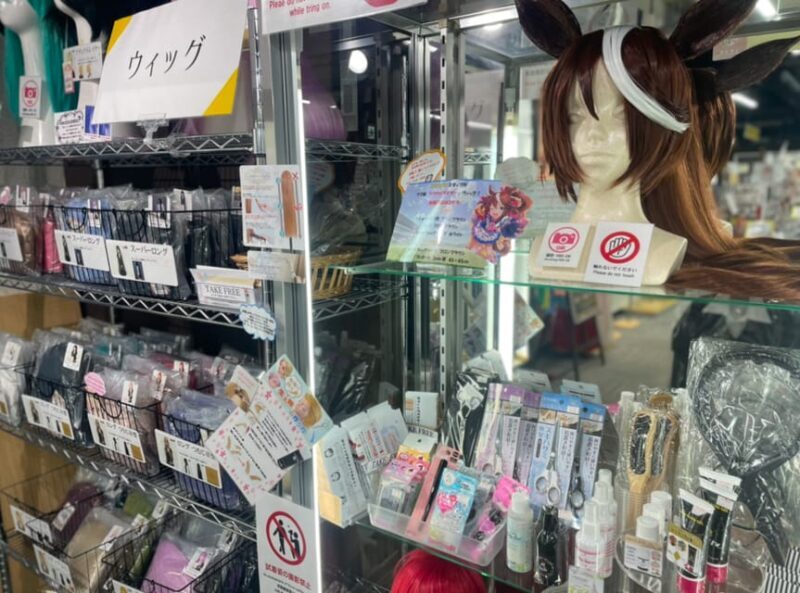 Tokyo: Tour around 10 charms to know Akihabara! - Who Should Book This Tour?