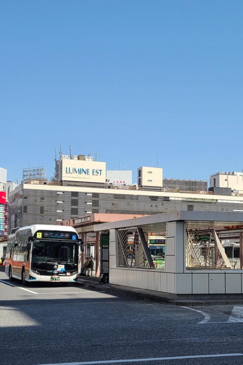 Tokyo Tour From a Resident Perspective - Good To Know