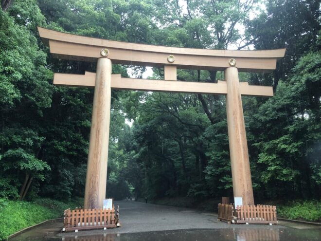 Tokyo Tour in Spanish (Shibuya - Harajuku - Shinjuku) - Discover Harajuku