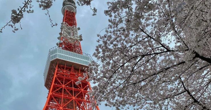 Tokyo Tour (Must Seeing Places in Tokyo) - Good To Know