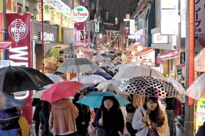 Tokyo Tour (Must Seeing Places in Tokyo) - Customizable Itinerary Options