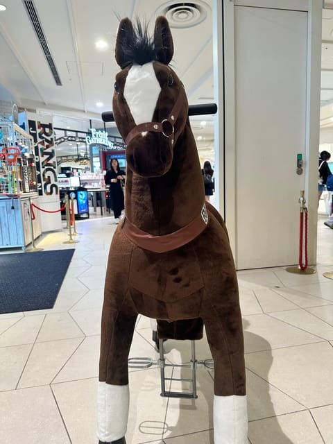 Tokyo Tour (Must Seeing Places in Tokyo) - Accessibility Features