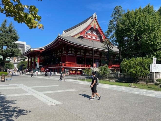 Tokyo Tour One Day Private Tour by Car With English Driver - Customization Options