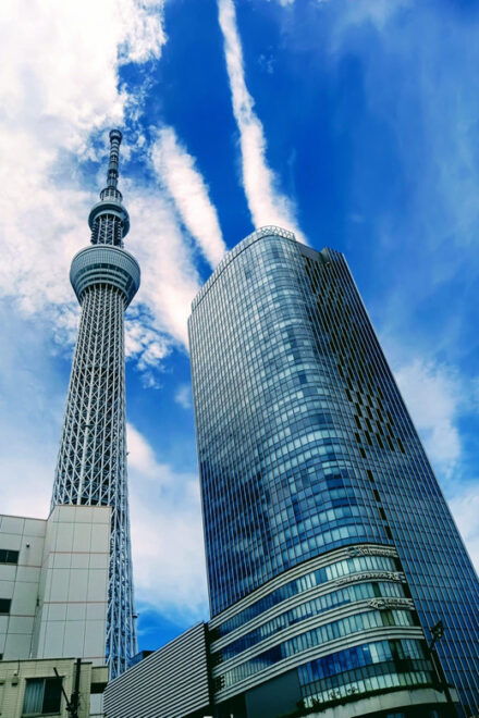 Tokyo Tour One Day Private Tour by Car With English Driver - Tour Experience