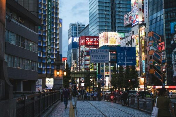 Tokyo Tour One Day Private Tour by Car With English Driver - Booking and Cancellation Policies