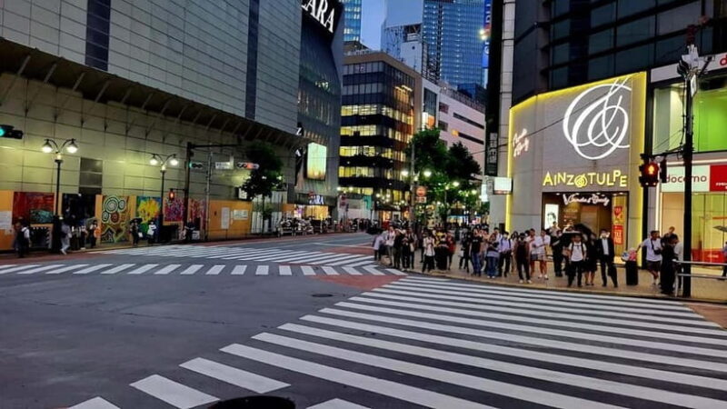 Tokyo Tour: Senso-ji, Meiji Shrine, Shibuya & Skytree Visit - Good To Know