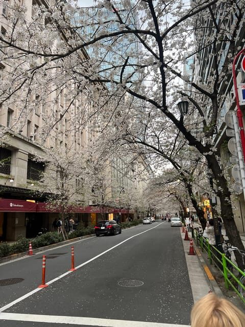 Tokyo Tour with Private Vehicle and English Speaking Guide - The Sum Up