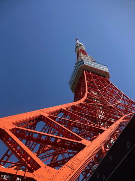 Tokyo Tours in Spanish (Tsukiji Market-Ginza-Tokyo Tower) - Transportation Tips