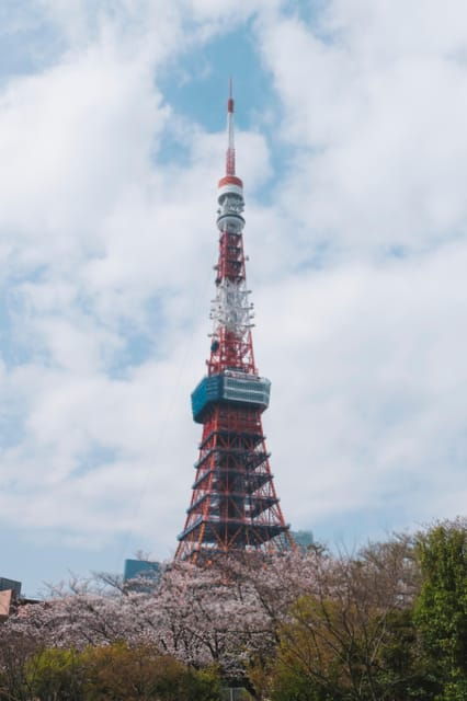 Tokyo Tower: Privat Tour, Day or Night With Local Guide - Booking Details