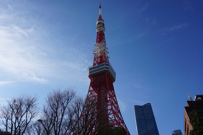 Tokyo Tower Secret Photo Spot and Skyline Tour - The Sum Up