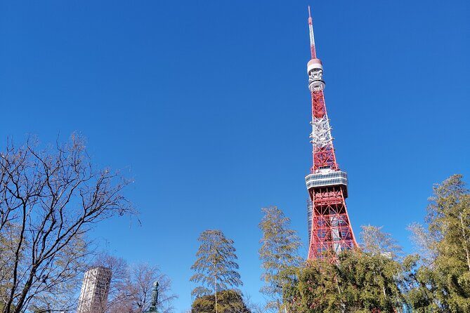 Tokyo Tower Tour Top Deck Views of Shinjuku and Mt. Fuji - Authentic Insights from the Review