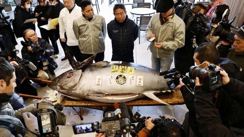 Tokyo: Toyosu Tuna Auction &Tsukiji Market Gourmet Adventure - FAQs