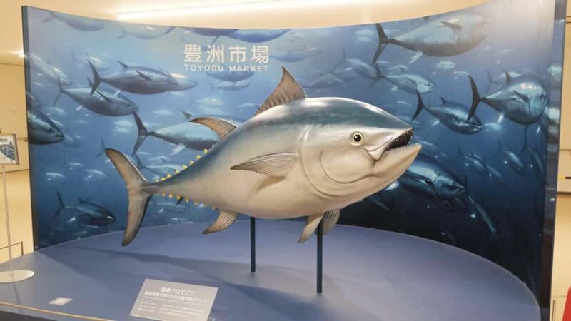 Tokyo: Toyosu Tuna Auction & Tsukiji Market Gourmet Tour - Good To Know