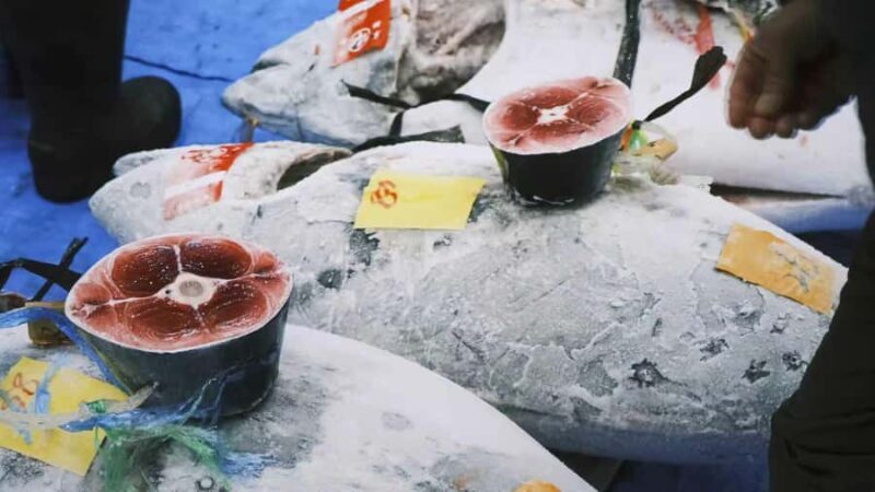 Tokyo: Toyosu Tuna Auction & Tsukiji Market Gourmet Tour - An In-Depth Look at the Toyosu Tuna Auction & Tsukiji Market Tour