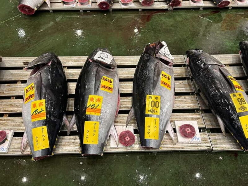 Tokyo Toyosu Tuna Auction w Dealer + Sushi (Standard to VIP) - FAQ