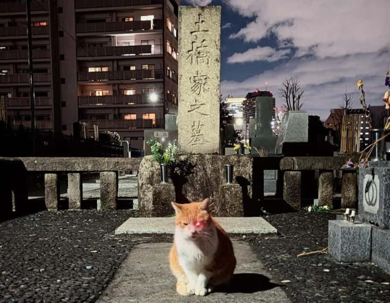 Tokyo: True Crime And Ghost Stories Tour - An Honest Look at Tokyos Shadowy Side