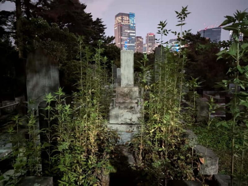 Tokyo: True Crime And Ghost Stories Tour - Weather and Seasonal Considerations