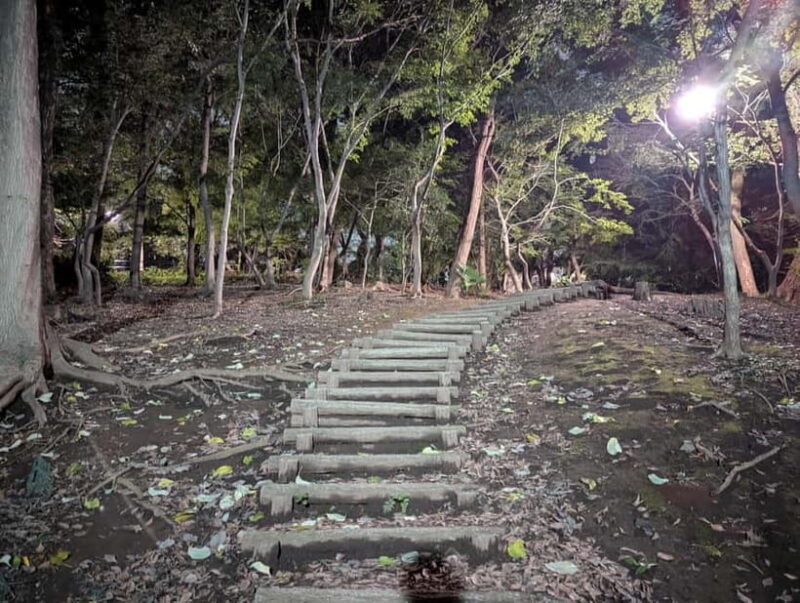 Tokyo: True Crime And Ghost Stories Tour - FAQ