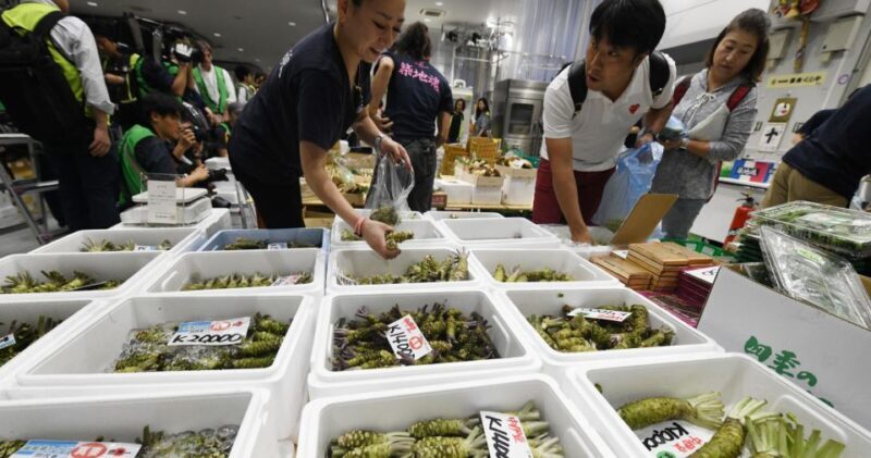 Tokyo Tsukiji Food & Culture Private Tour Licensed Guide - Final Thoughts: Who Should Consider This Tour?